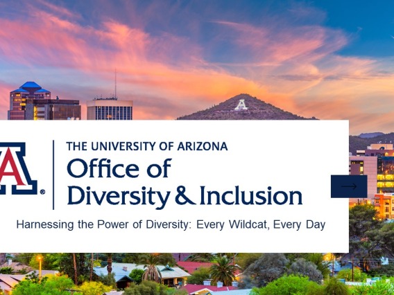 Office of Diversity and Inclusion Harnessing the Power of Diversity