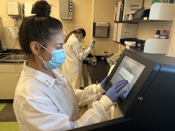 Researchers in the microbiology lab at the Yuma Center of Excellence for Desert Agriculture