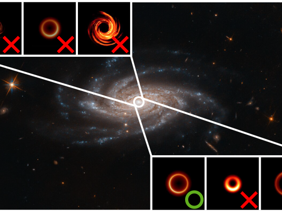 Illustration showing a collage of different simulated black holes and a large galaxy