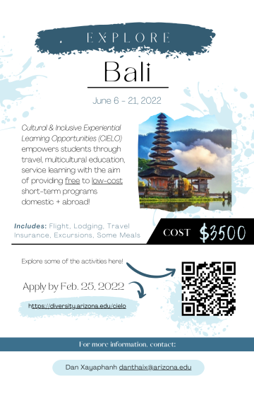Updated Bali Flyer